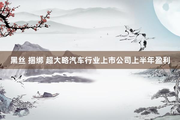 黑丝 捆绑 超大略汽车行业上市公司上半年盈利