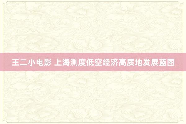 王二小电影 上海测度低空经济高质地发展蓝图