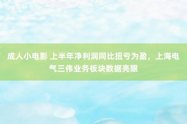 成人小电影 上半年净利润同比扭亏为盈，上海电气三伟业务板块数据亮眼