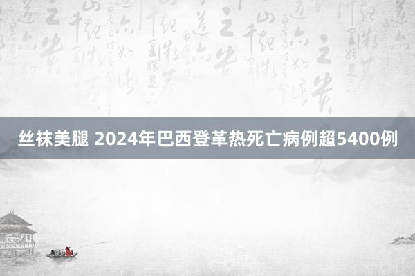 丝袜美腿 2024年巴西登革热死亡病例超5400例