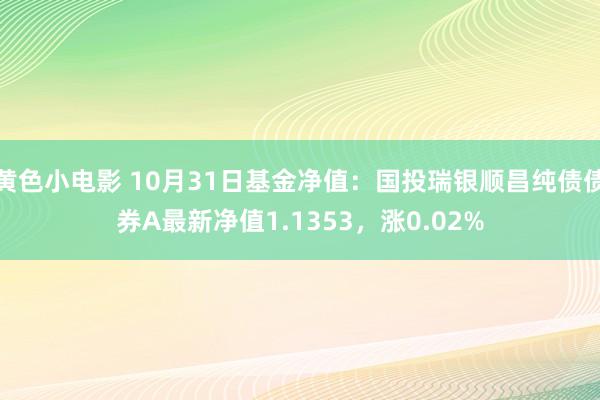 黄色小电影 10月31日基金净值：国投瑞银顺昌纯债债券A最新净值1.1353，涨0.02%