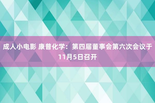 成人小电影 康普化学：第四届董事会第六次会议于11月5日召开