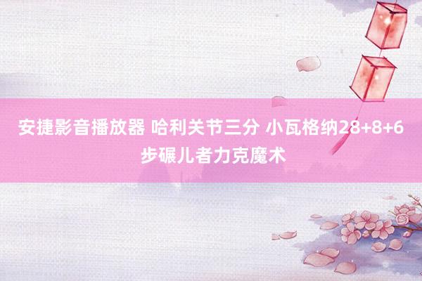 安捷影音播放器 哈利关节三分 小瓦格纳28+8+6 步碾儿者力克魔术