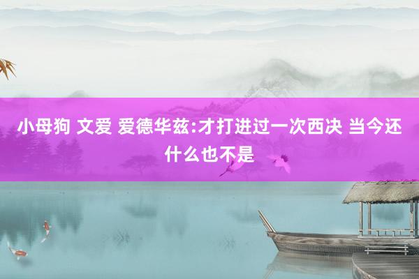 小母狗 文爱 爱德华兹:才打进过一次西决 当今还什么也不是