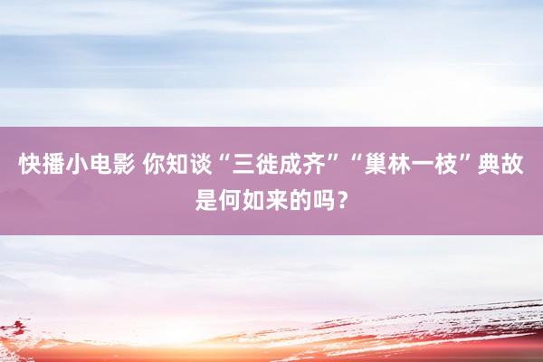 快播小电影 你知谈“三徙成齐”“巢林一枝”典故是何如来的吗？