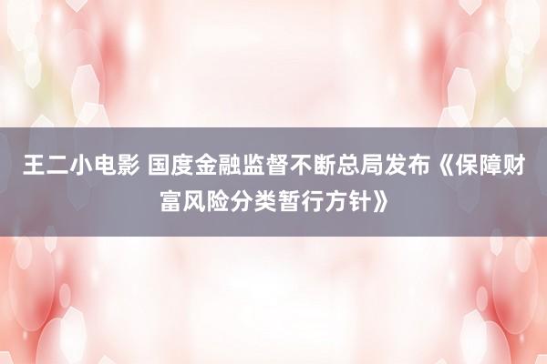 王二小电影 国度金融监督不断总局发布《保障财富风险分类暂行方针》