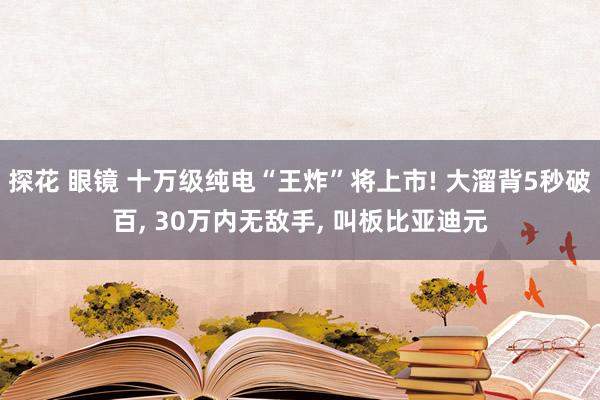 探花 眼镜 十万级纯电“王炸”将上市! 大溜背5秒破百, 30万内无敌手, 叫板比亚迪元