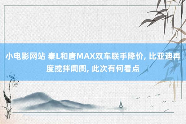 小电影网站 秦L和唐MAX双车联手降价, 比亚迪再度搅拌阛阓, 此次有何看点