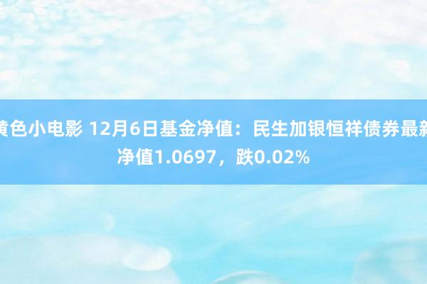 黄色小电影 12月6日基金净值：民生加银恒祥债券最新净值1.0697，跌0.02%