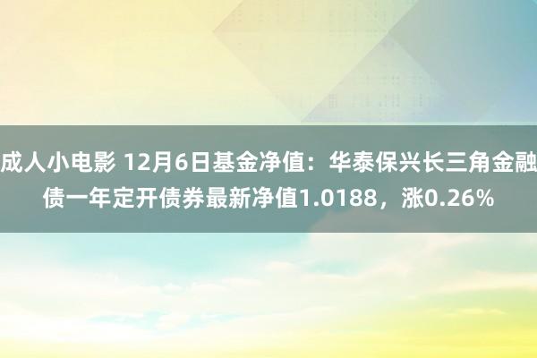 成人小电影 12月6日基金净值：华泰保兴长三角金融债一年定开债券最新净值1.0188，涨0.26%
