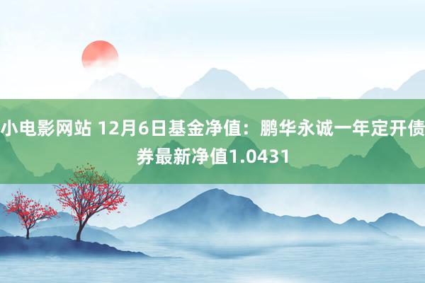 小电影网站 12月6日基金净值：鹏华永诚一年定开债券最新净值1.0431