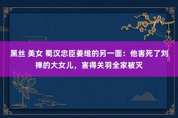黑丝 美女 蜀汉忠臣姜维的另一面：他害死了刘禅的大女儿，害得关羽全家被灭