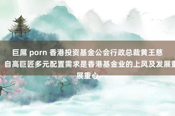 巨屌 porn 香港投资基金公会行政总裁黄王慈明：自高巨匠多元配置需求是香港基金业的上风及发展重心