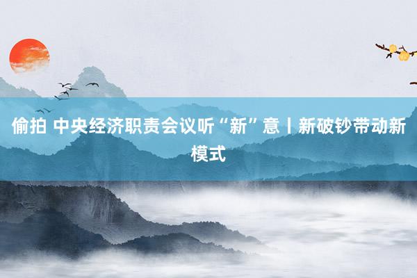 偷拍 中央经济职责会议听“新”意丨新破钞带动新模式