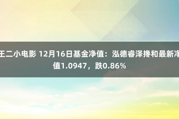 王二小电影 12月16日基金净值：泓德睿泽搀和最新净值1.0947，跌0.86%