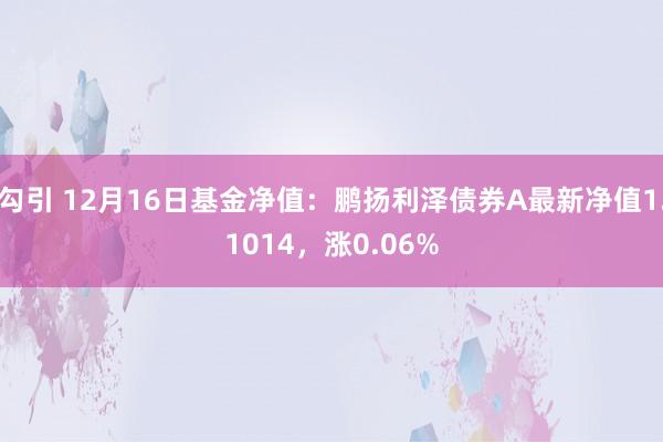 勾引 12月16日基金净值：鹏扬利泽债券A最新净值1.1014，涨0.06%