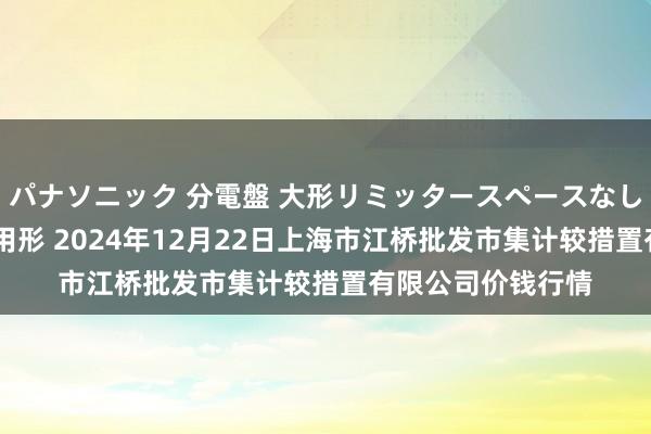 パナソニック 分電盤 大形リミッタースペースなし 露出・半埋込両用形 2024年12月22日上海市江桥批发市集计较措置有限公司价钱行情