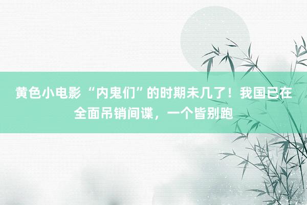 黄色小电影 “内鬼们”的时期未几了！我国已在全面吊销间谍，一个皆别跑