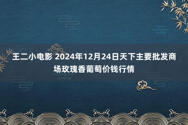 王二小电影 2024年12月24日天下主要批发商场玫瑰香葡萄价钱行情