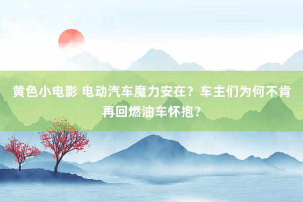 黄色小电影 电动汽车魔力安在？车主们为何不肯再回燃油车怀抱？