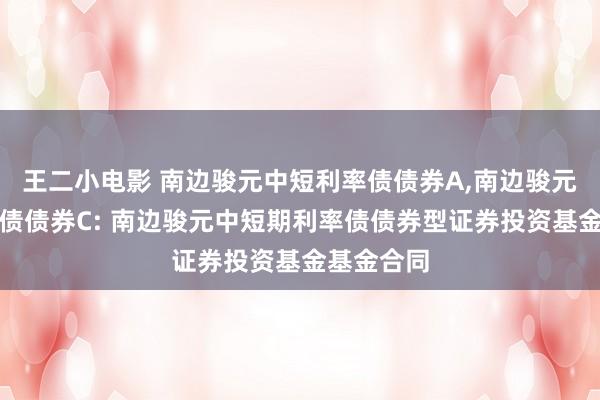 王二小电影 南边骏元中短利率债债券A,南边骏元中短利率债债券C: 南边骏元中短期利率债债券型证券投资基金基金合同