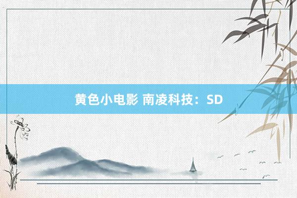 黄色小电影 南凌科技：SD