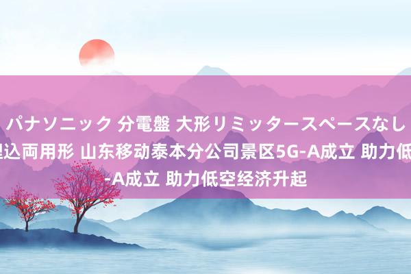 パナソニック 分電盤 大形リミッタースペースなし 露出・半埋込両用形 山东移动泰本分公司景区5G-A成立 助力低空经济升起
