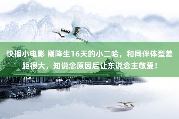 快播小电影 刚降生16天的小二哈，和同伴体型差距很大，知说念原因后让东说念主敬爱！