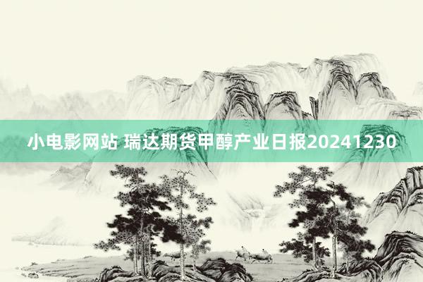 小电影网站 瑞达期货甲醇产业日报20241230