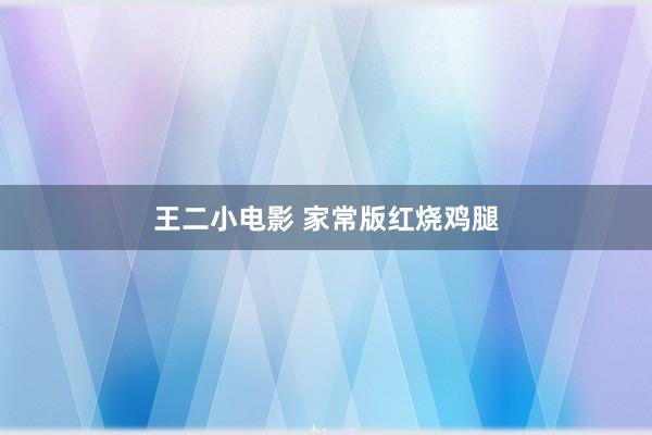 王二小电影 家常版红烧鸡腿
