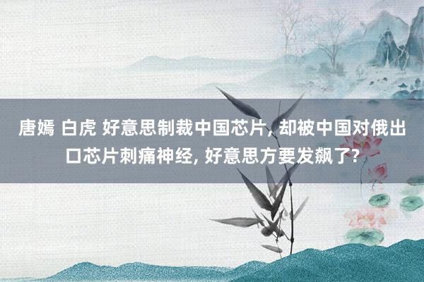 唐嫣 白虎 好意思制裁中国芯片, 却被中国对俄出口芯片刺痛神经, 好意思方要发飙了?