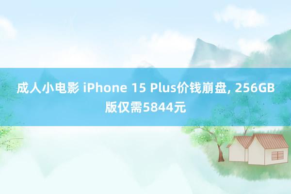 成人小电影 iPhone 15 Plus价钱崩盘, 256GB版仅需5844元