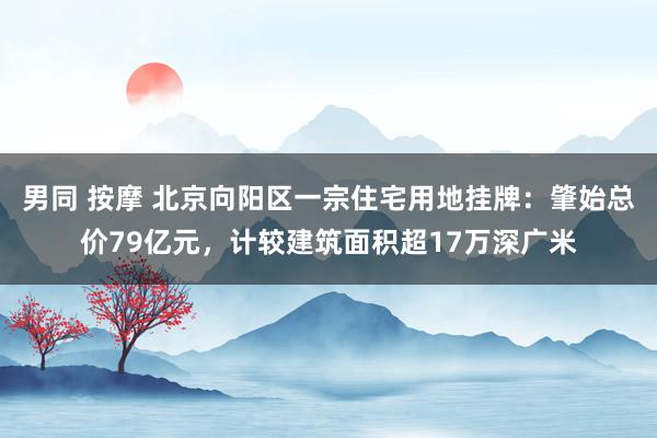 男同 按摩 北京向阳区一宗住宅用地挂牌：肇始总价79亿元，计较建筑面积超17万深广米