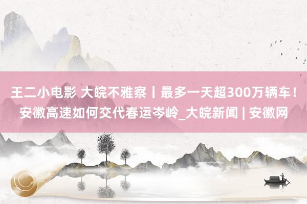 王二小电影 大皖不雅察丨最多一天超300万辆车！安徽高速如何交代春运岑岭_大皖新闻 | 安徽网