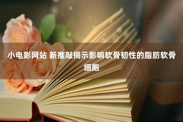 小电影网站 新推敲揭示影响软骨韧性的脂肪软骨细胞