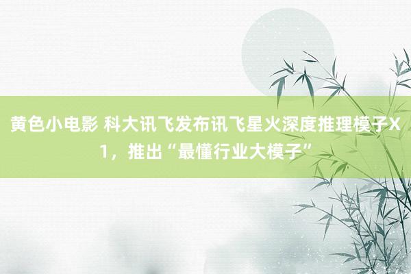 黄色小电影 科大讯飞发布讯飞星火深度推理模子X1，推出“最懂行业大模子”