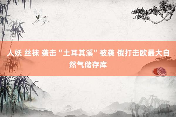 人妖 丝袜 袭击“土耳其溪”被袭 俄打击欧最大自然气储存库