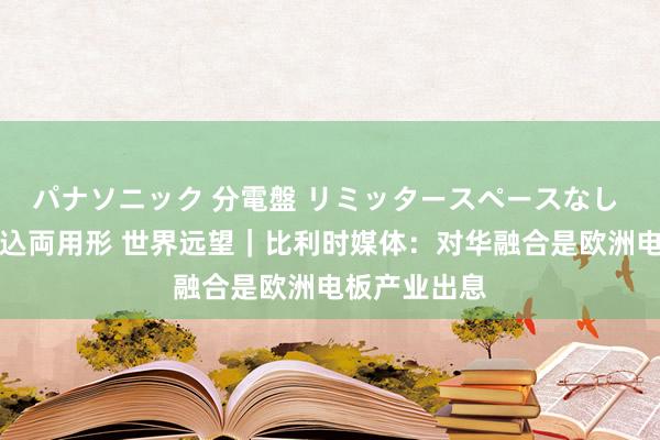 パナソニック 分電盤 リミッタースペースなし 露出・半埋込両用形 世界远望｜比利时媒体：对华融合是欧洲电板产业出息