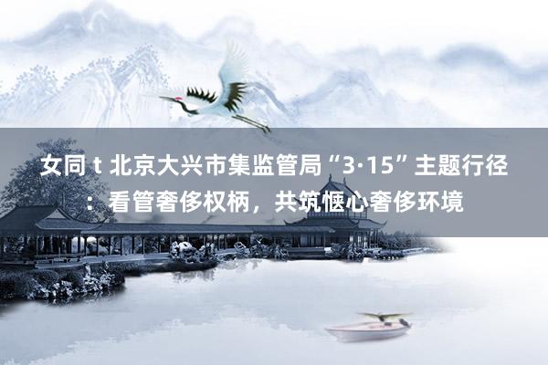 女同 t 北京大兴市集监管局“3·15”主题行径：看管奢侈权柄，共筑惬心奢侈环境