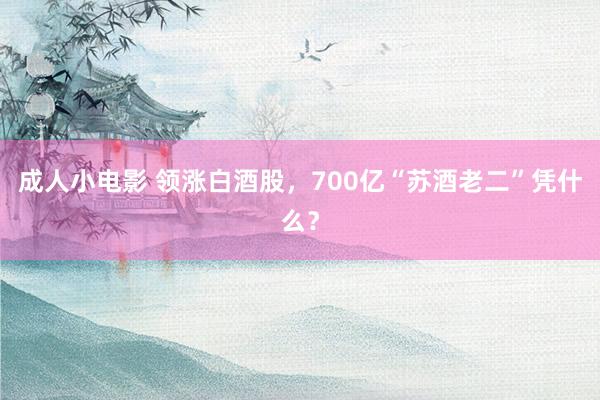 成人小电影 领涨白酒股，700亿“苏酒老二”凭什么？