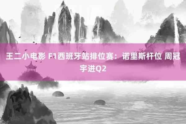 王二小电影 F1西班牙站排位赛：诺里斯杆位 周冠宇进Q2