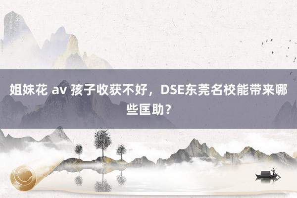 姐妹花 av 孩子收获不好，DSE东莞名校能带来哪些匡助？