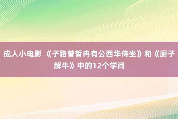 成人小电影 《子路曾皙冉有公西华侍坐》和《厨子解牛》中的12个学问
