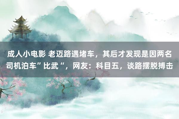 成人小电影 老迈路遇堵车，其后才发现是因两名司机泊车”比武“，网友：科目五，谈路摆脱搏击