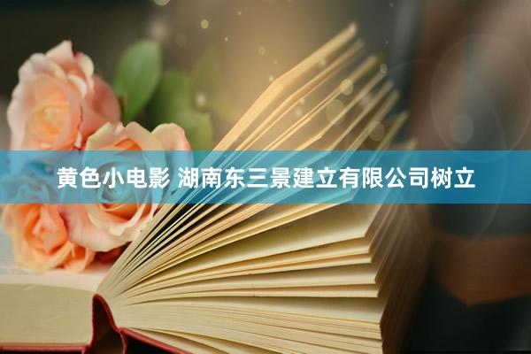 黄色小电影 湖南东三景建立有限公司树立