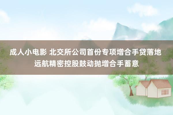 成人小电影 北交所公司首份专项增合手贷落地 远航精密控股鼓动抛增合手蓄意