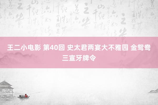 王二小电影 第40回 史太君两宴大不雅园 金鸳鸯三宣牙牌令