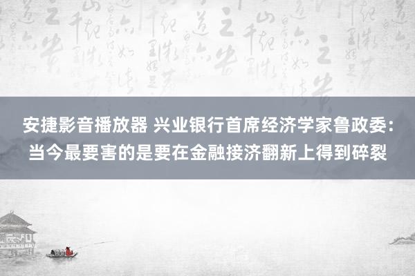 安捷影音播放器 兴业银行首席经济学家鲁政委：当今最要害的是要在金融接济翻新上得到碎裂