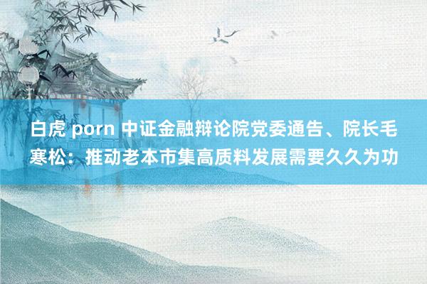白虎 porn 中证金融辩论院党委通告、院长毛寒松：推动老本市集高质料发展需要久久为功