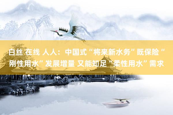 白丝 在线 人人：中国式“将来新水务”既保险“刚性用水”发展增量 又能知足“柔性用水”需求
